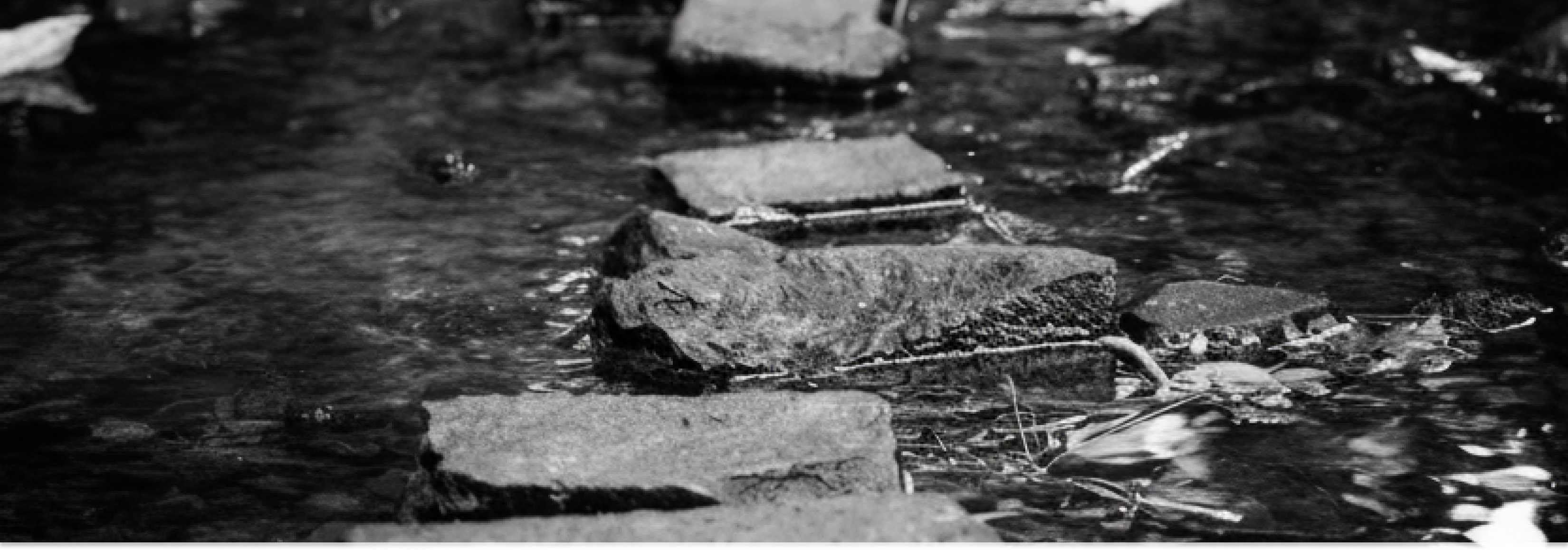 Why I left my career to build a fintech startup